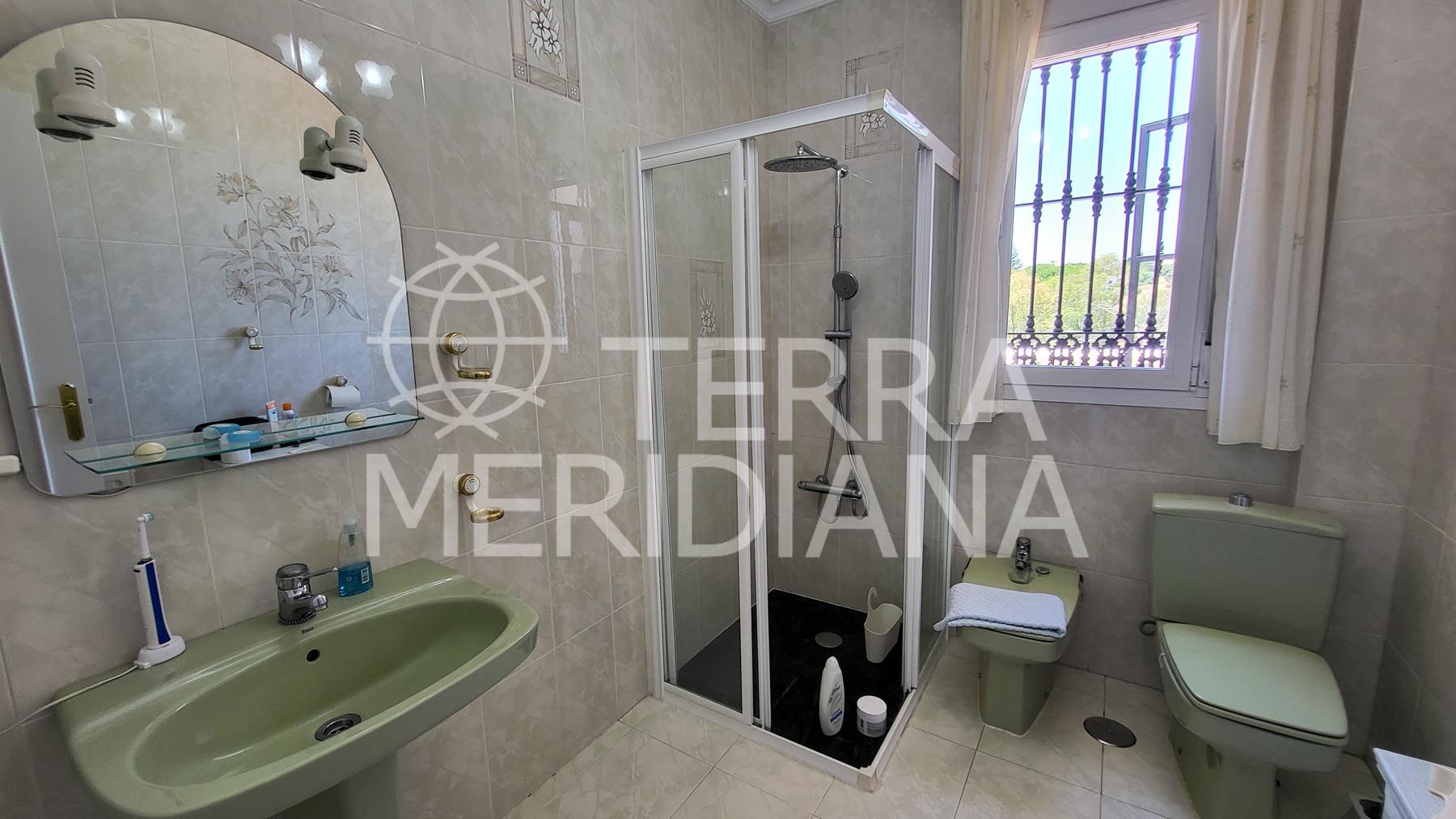 Villa in Elviria, Marbella