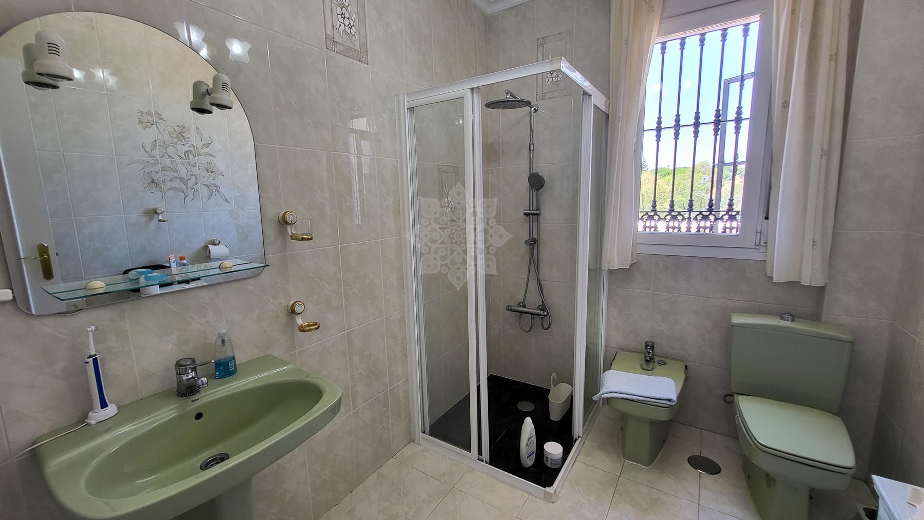 Villa in Elviria, Marbella