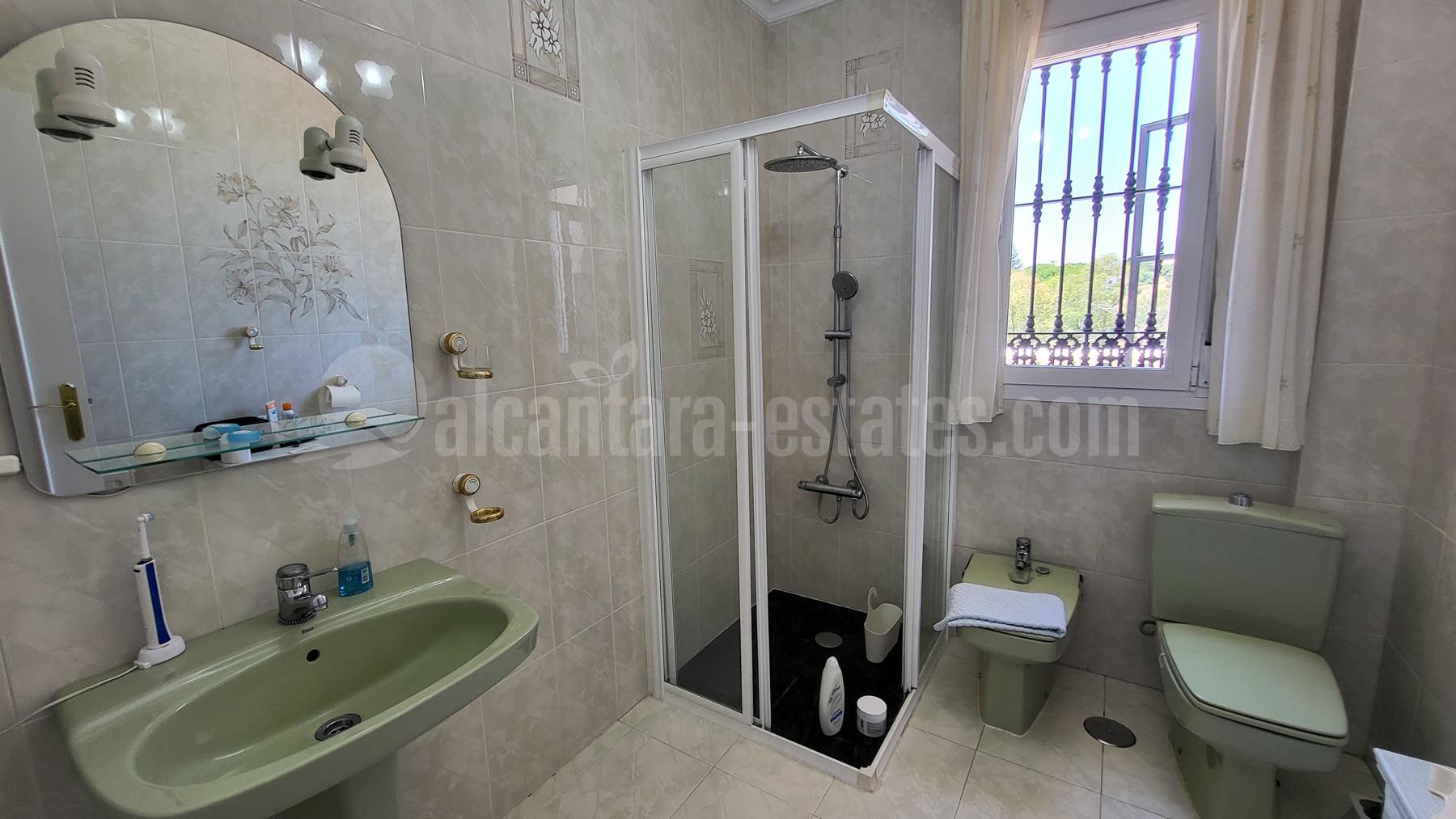 Villa in Elviria, Marbella