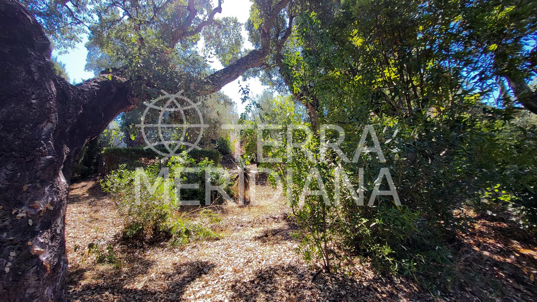 Villa in Elviria, Marbella