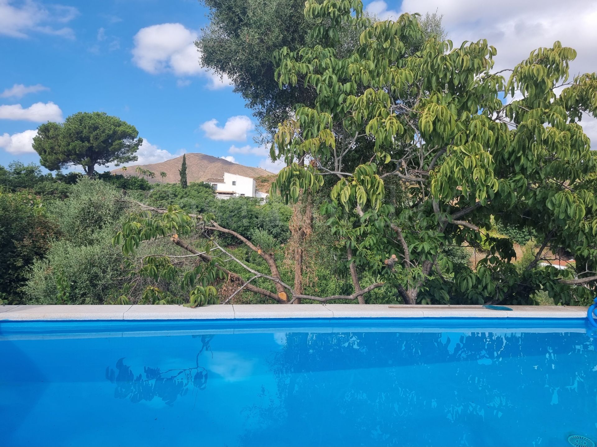 Finca en Entrerrios, Mijas Costa