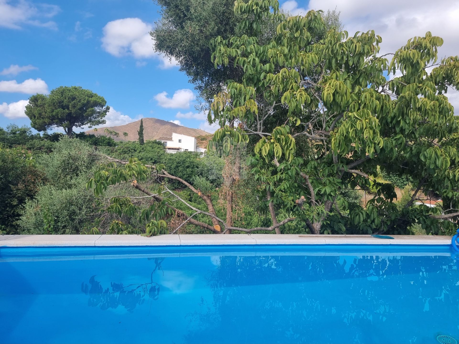 Finca in Entrerrios, Mijas Costa