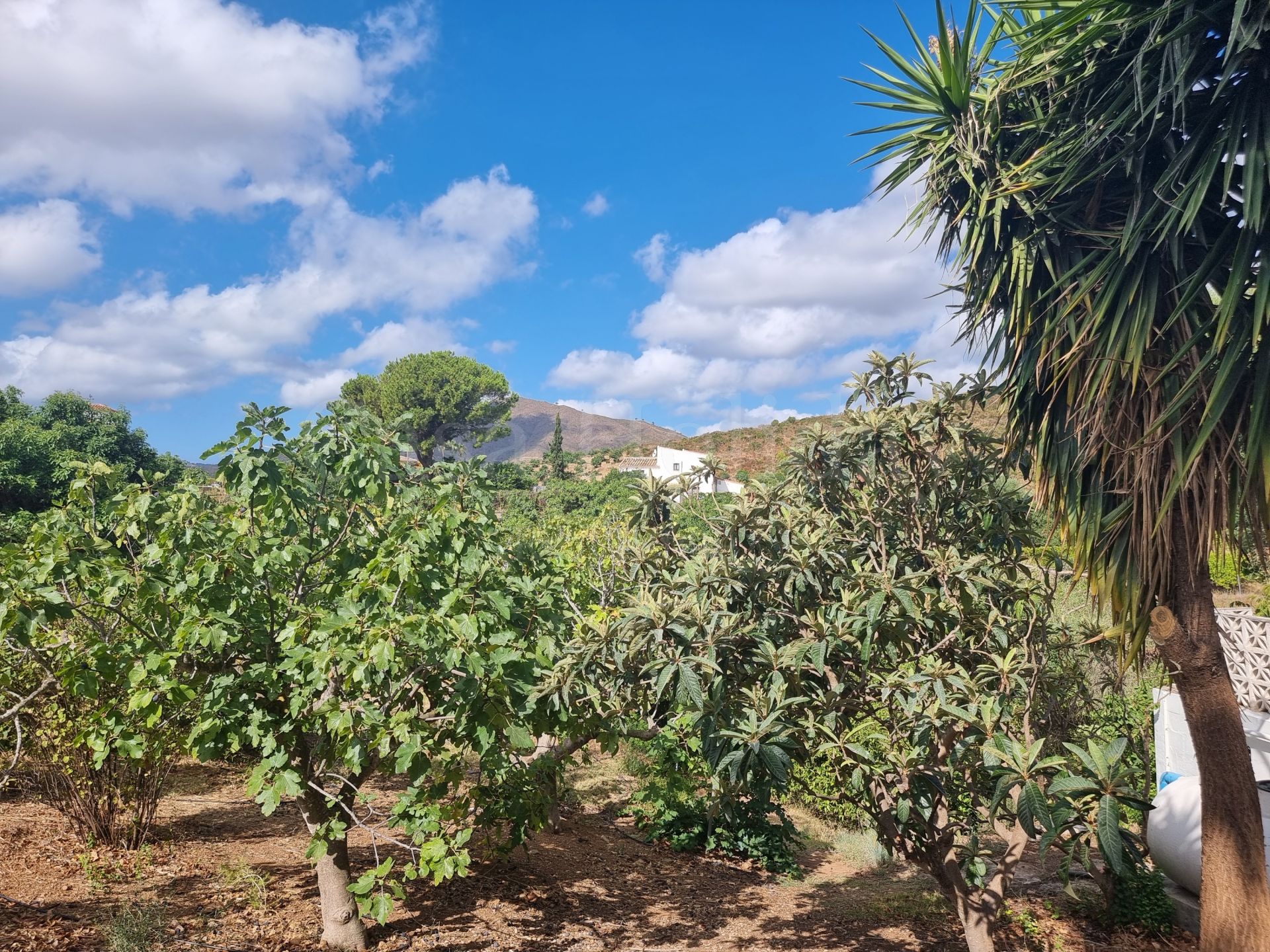 Finca en Entrerrios, Mijas Costa