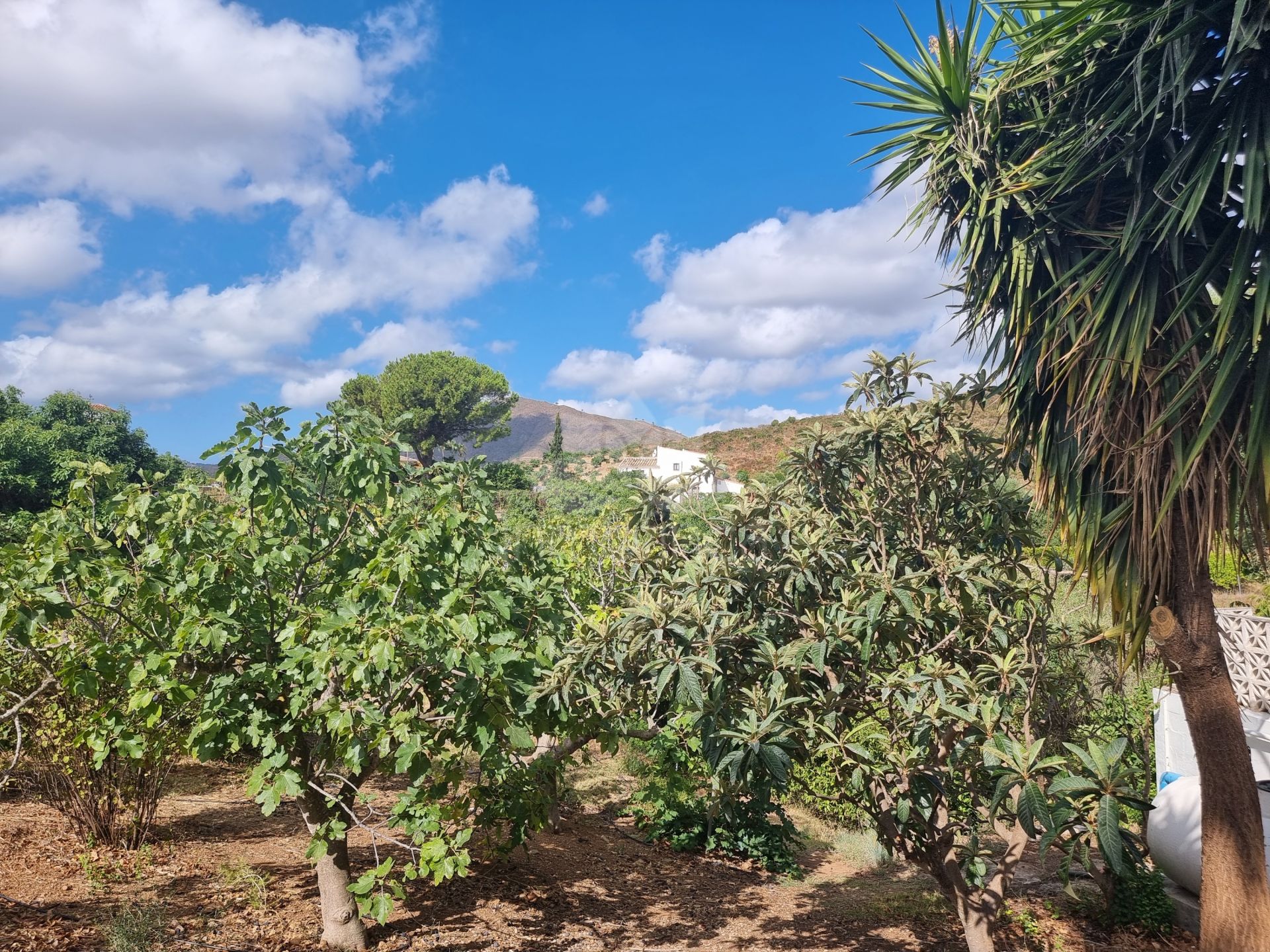Finca en Entrerrios, Mijas Costa