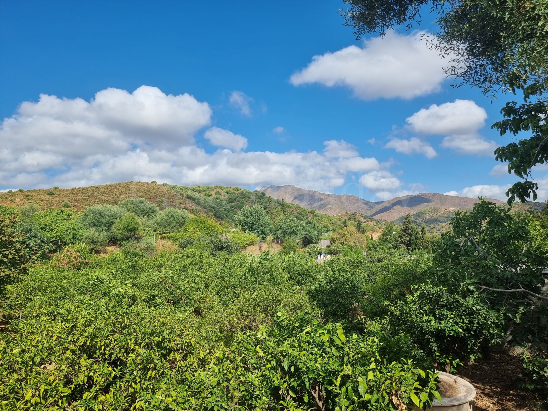 Finca en Entrerrios, Mijas Costa