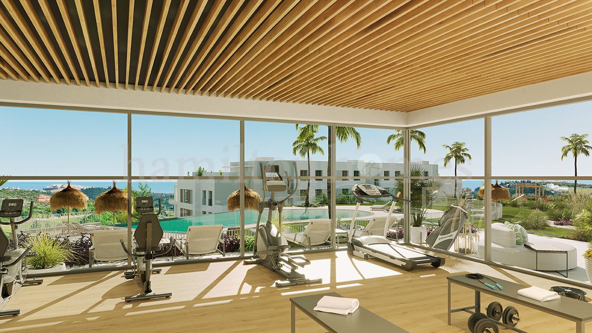 Development in Doña Julia, Casares