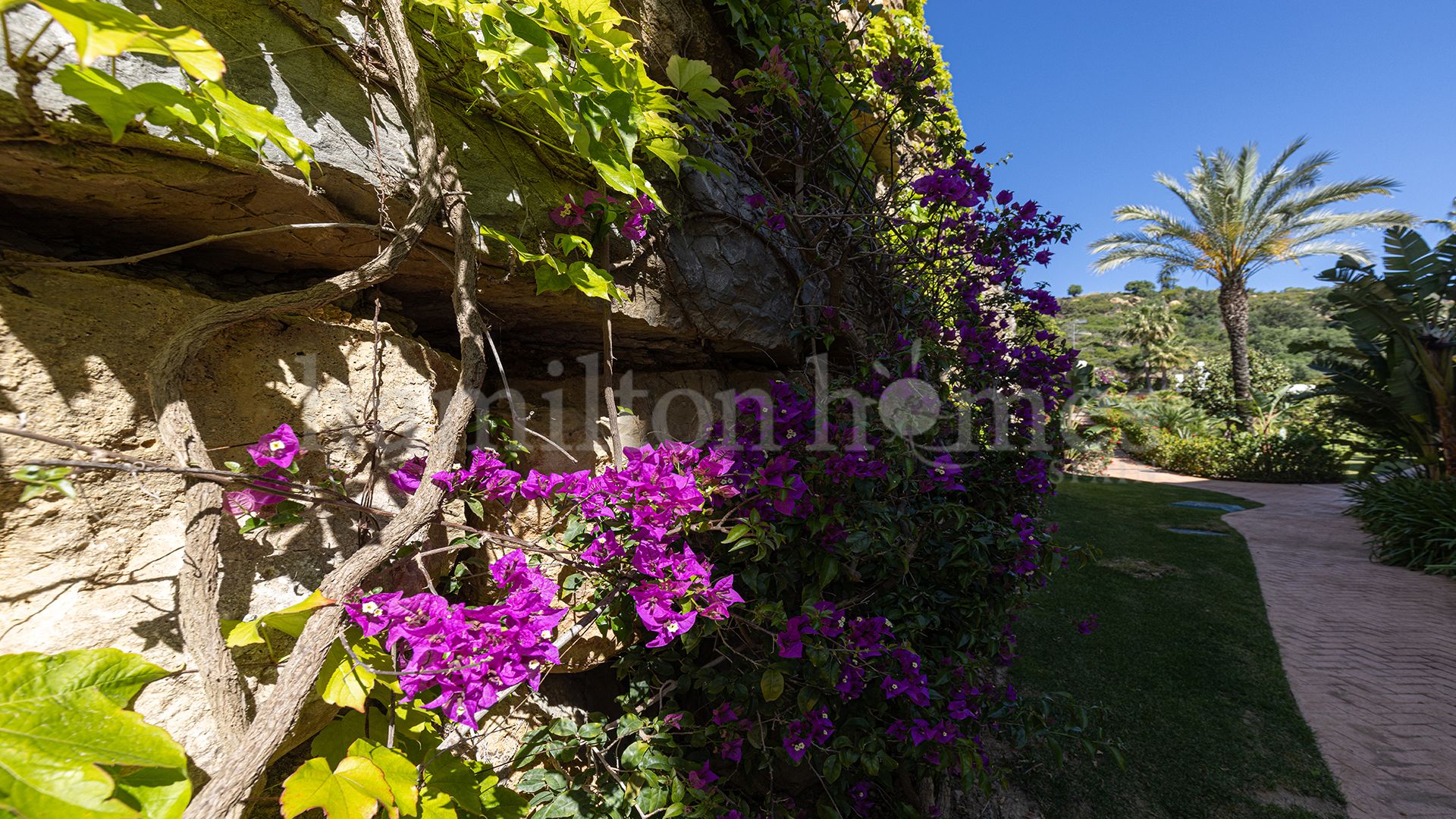 Ático en Altos de Cortesín, Casares