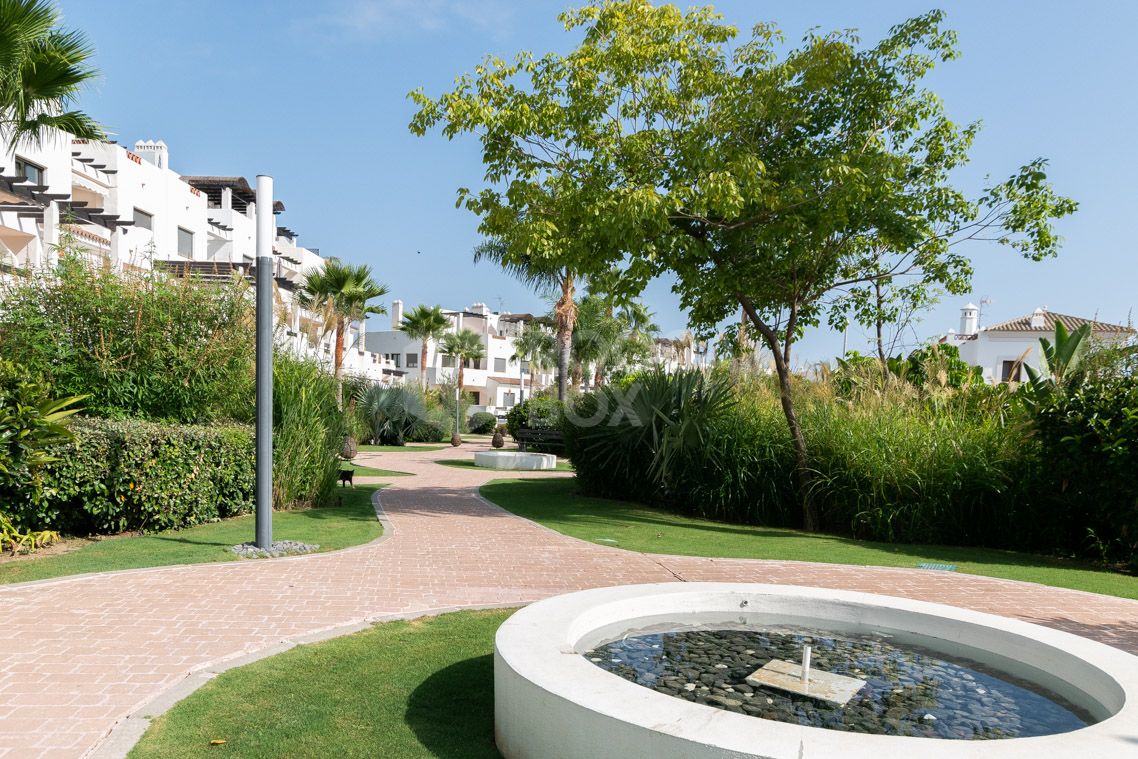 Apartment, terrace, swimming pool, golf, 2 bedrooms, Estepona, La Resina, Selwo.