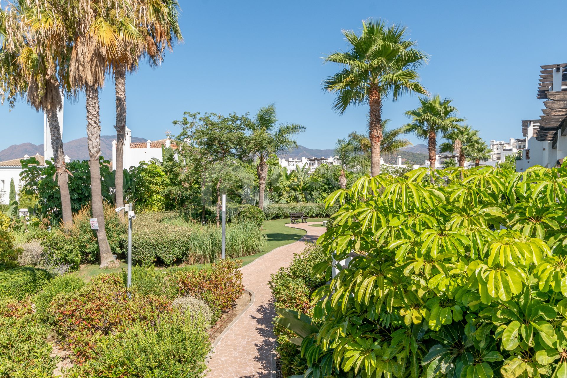 Apartment, terrace, swimming pool, golf, 2 bedrooms, Estepona, La Resina, Selwo.