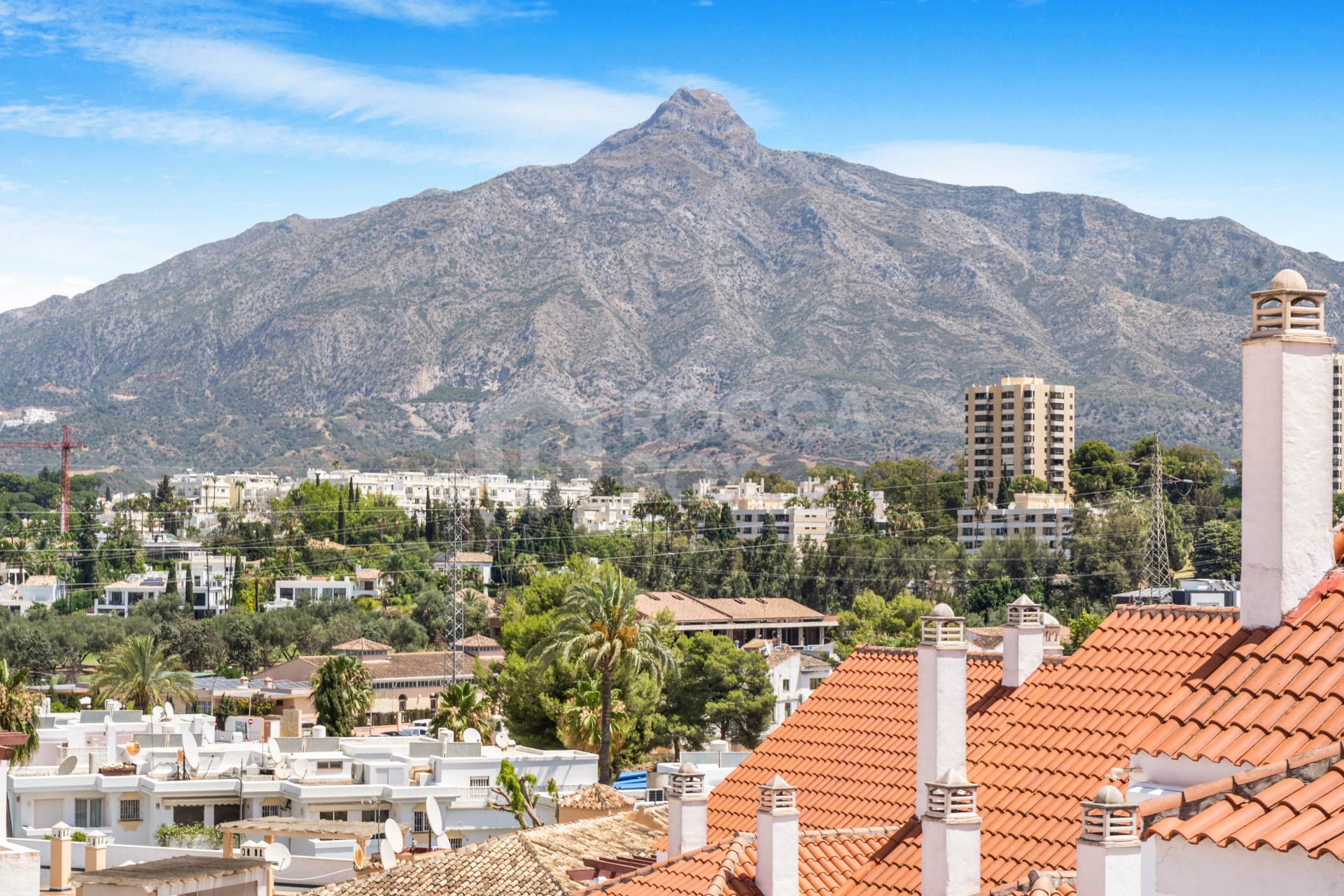 Luxury penthouse in Nueva Andalucia