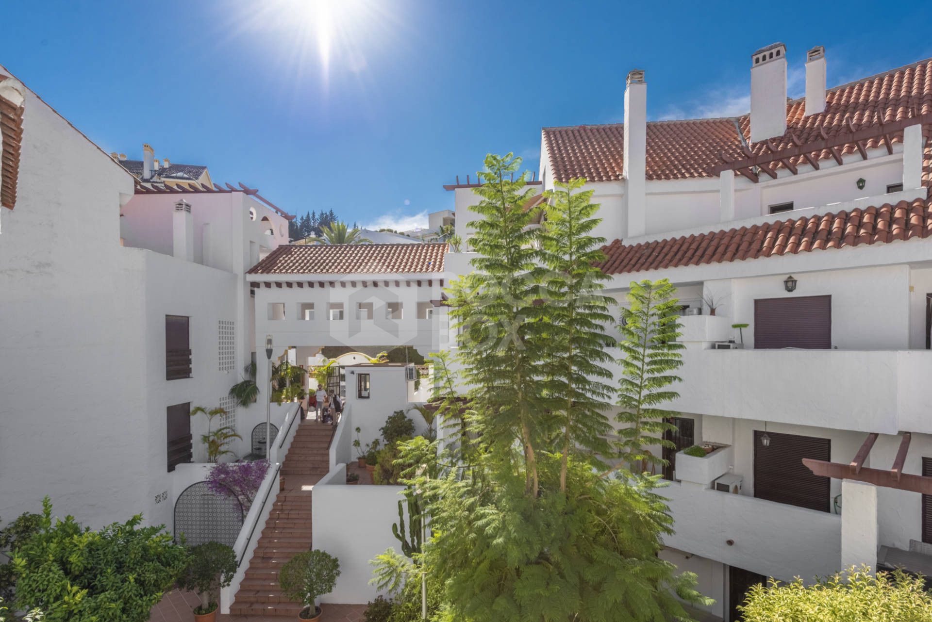 Luxury penthouse in Nueva Andalucia