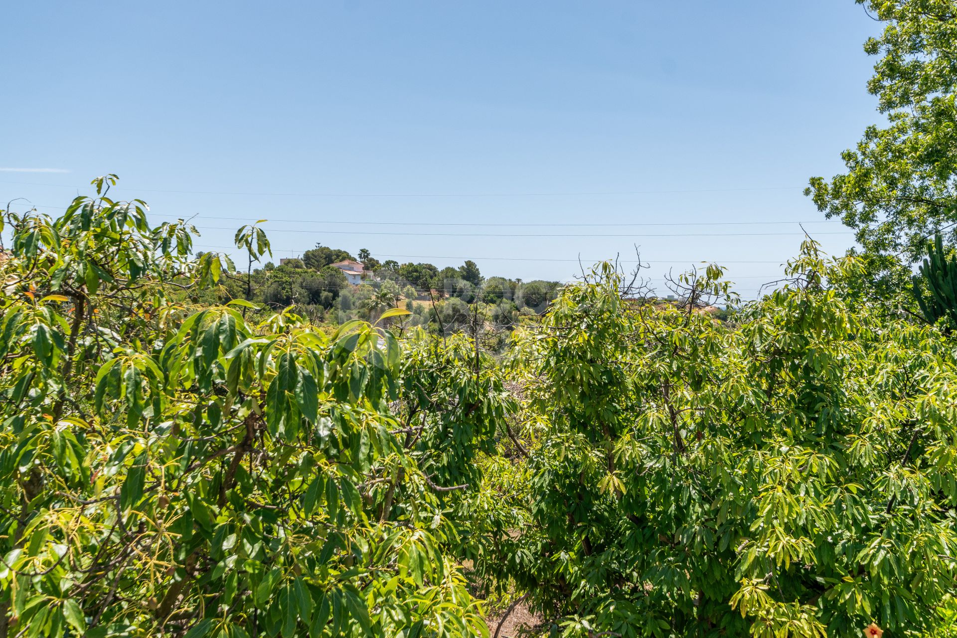 Charming Finca with a beautiful garden