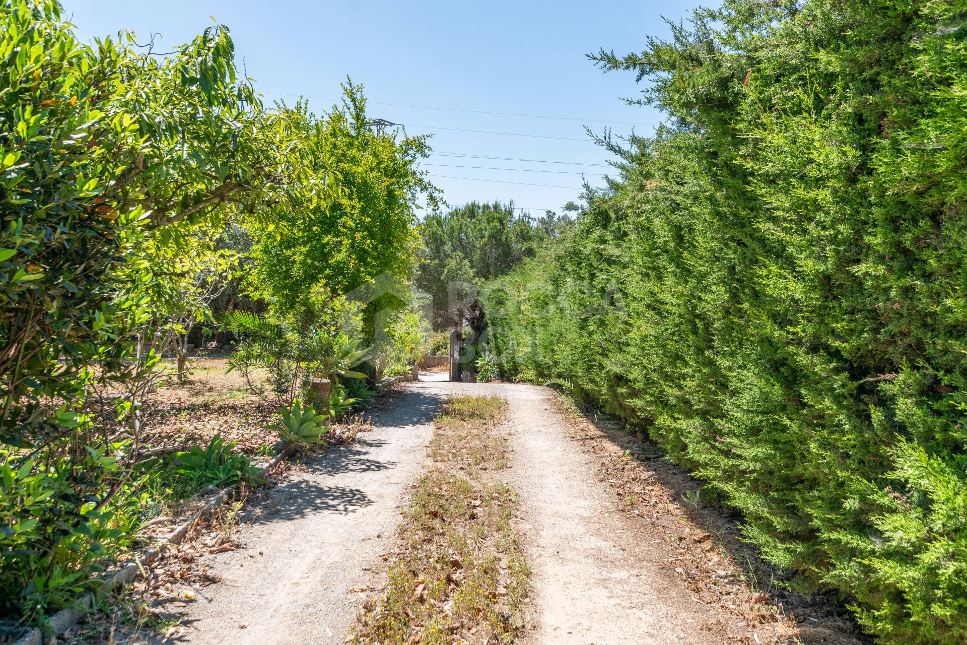 Charming Finca with a beautiful garden