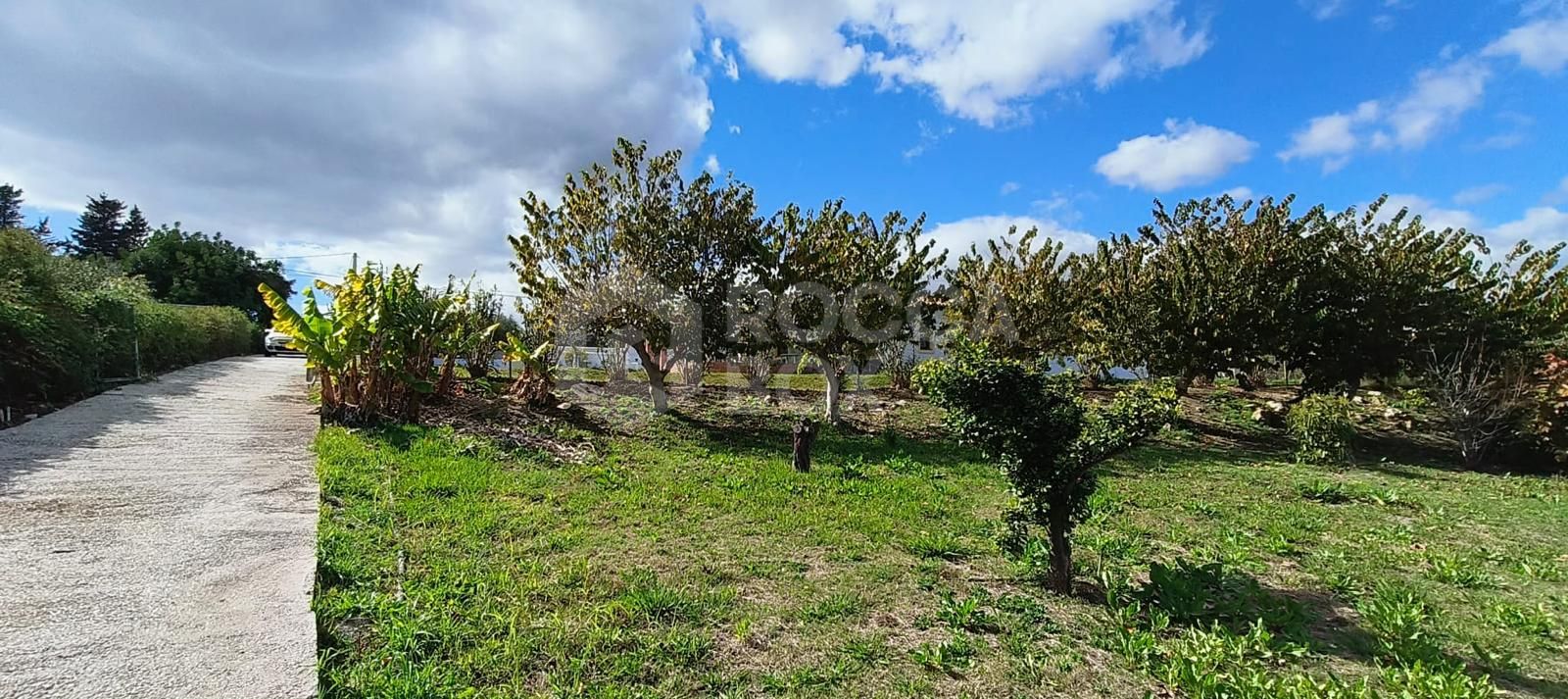 Beautiful, large country villa with beautiful sea views