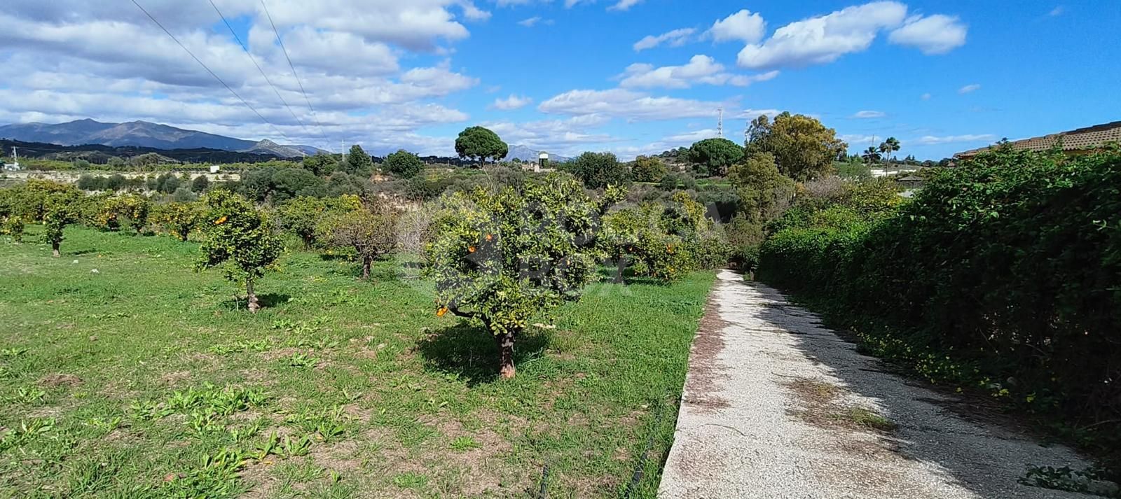 Beautiful, large country villa with beautiful sea views