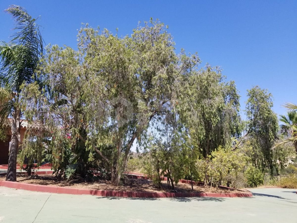 Stunning Finca with massive plot - Ideal for a Retreat in La Cala de Mijas Area