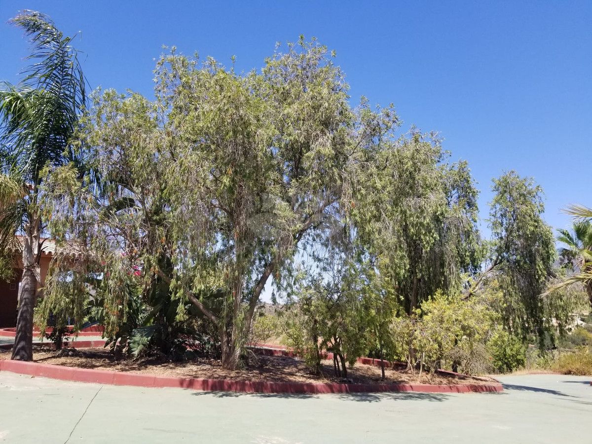 Cortijo in Entrerrios, Mijas Costa