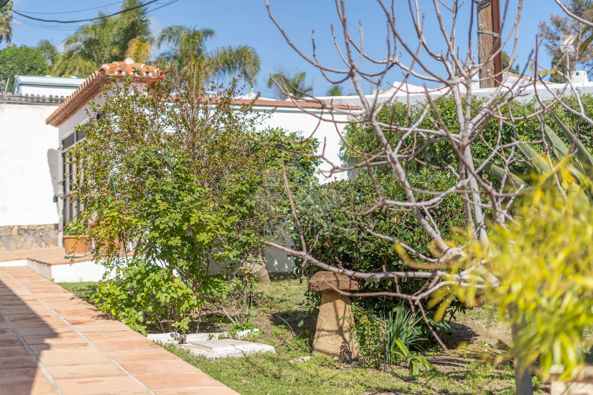 Villa in Estepona