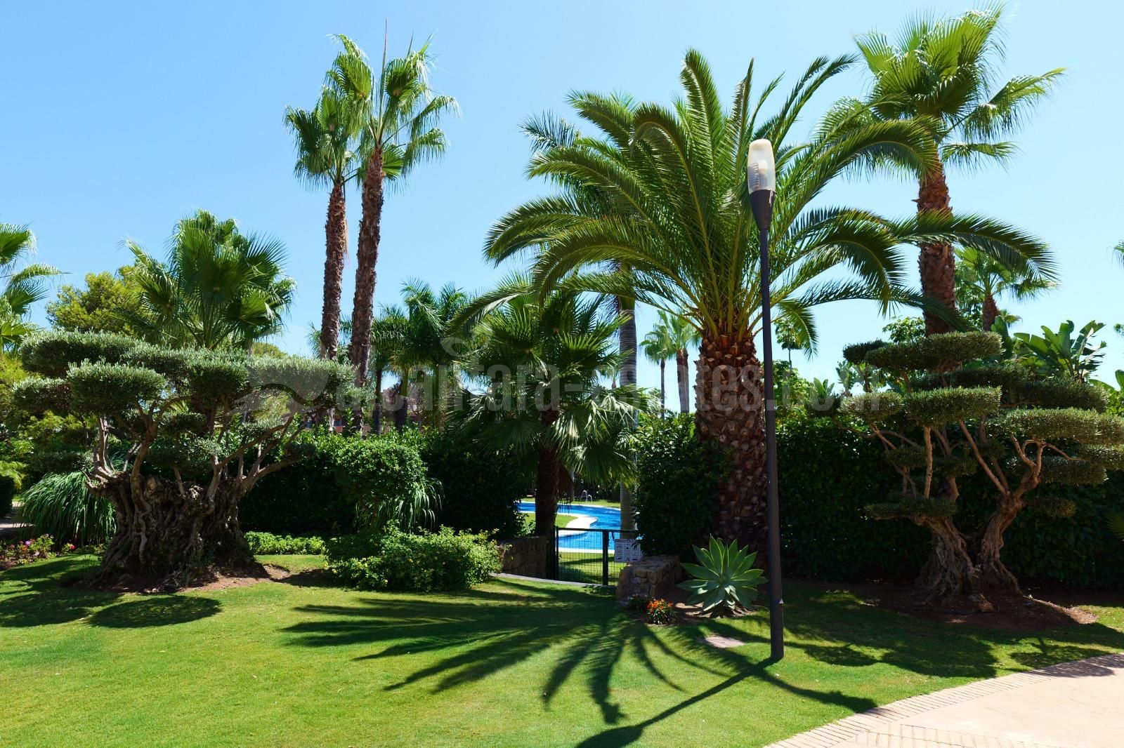 Apartment in Marbella - Puerto Banus, Marbella