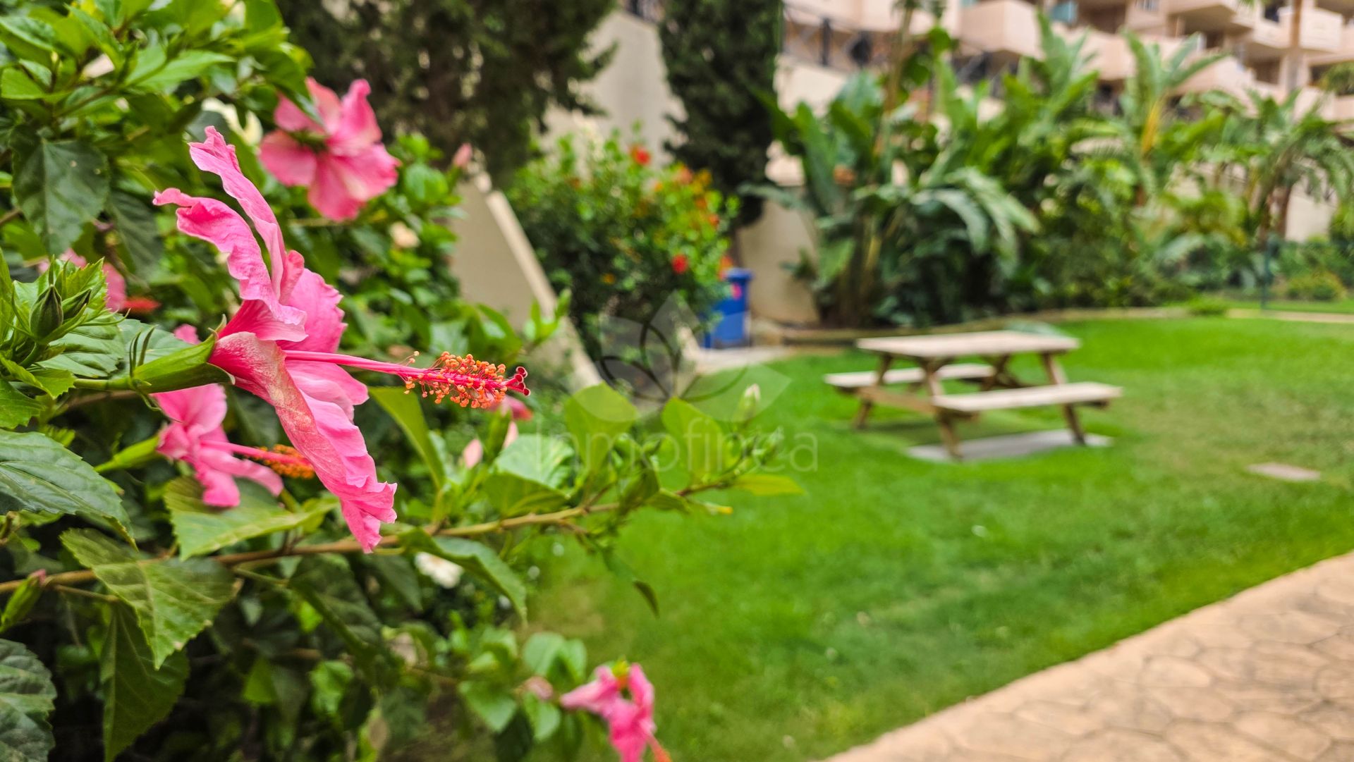 Ground Floor Apartment in La Duquesa, Manilva