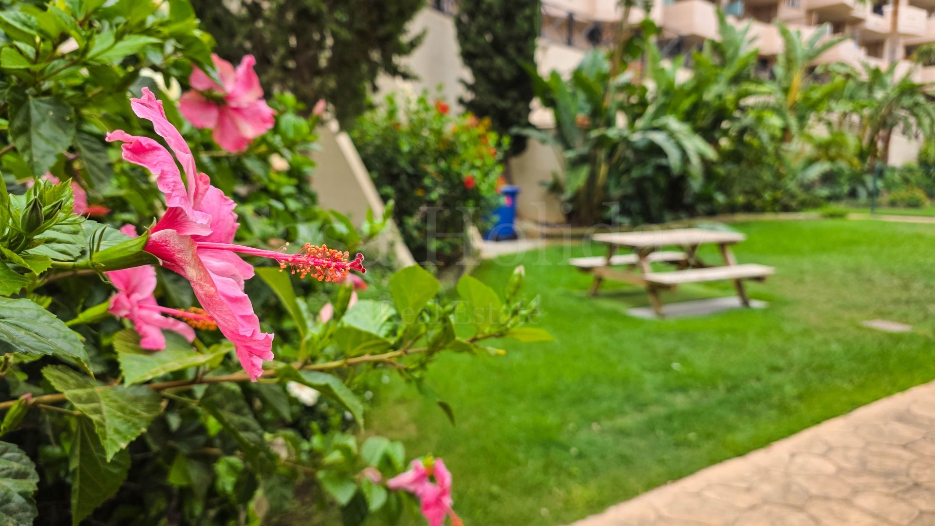 Apartamento Planta Baja en La Duquesa, Manilva