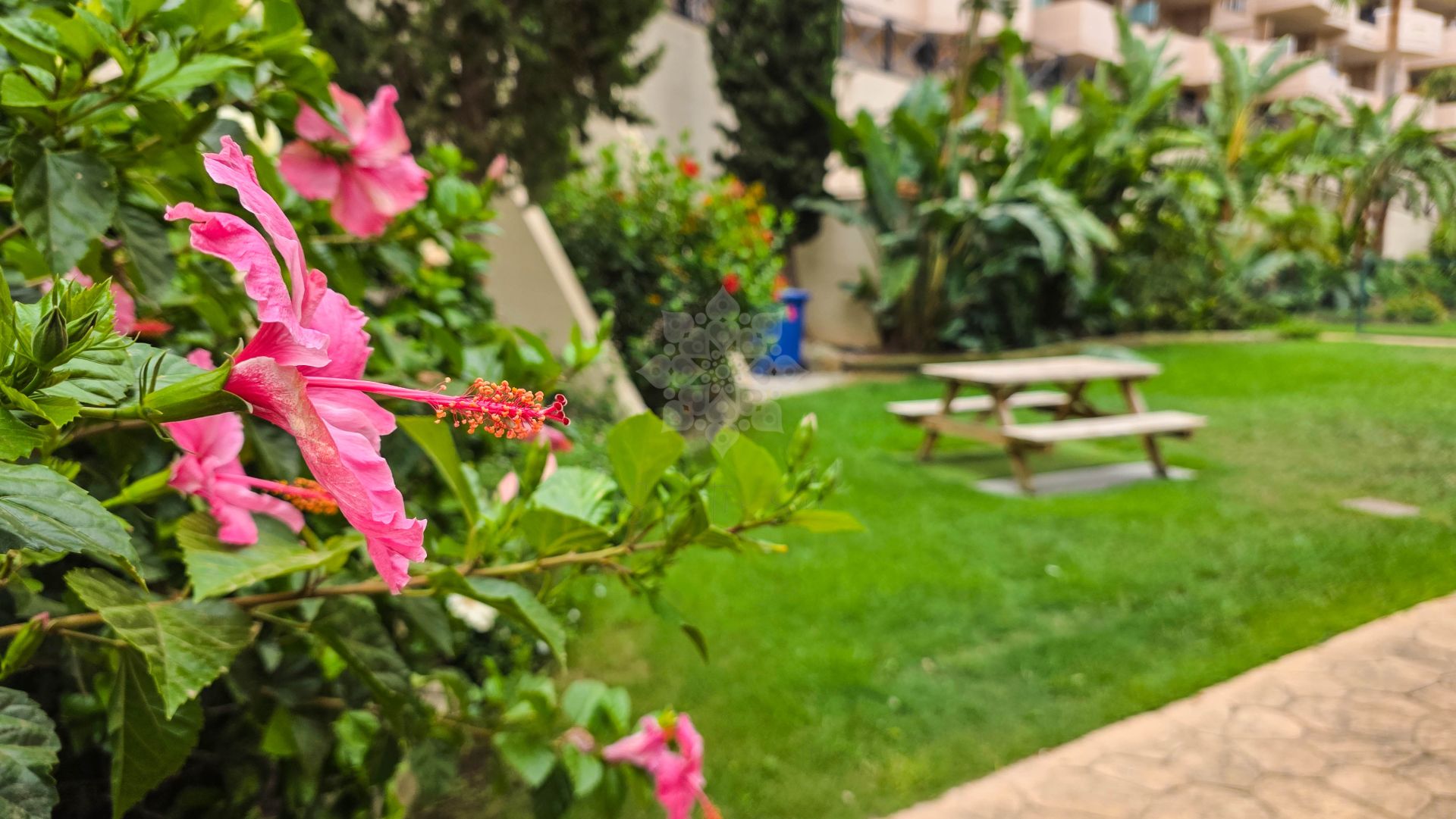 Apartamento Planta Baja en La Duquesa, Manilva