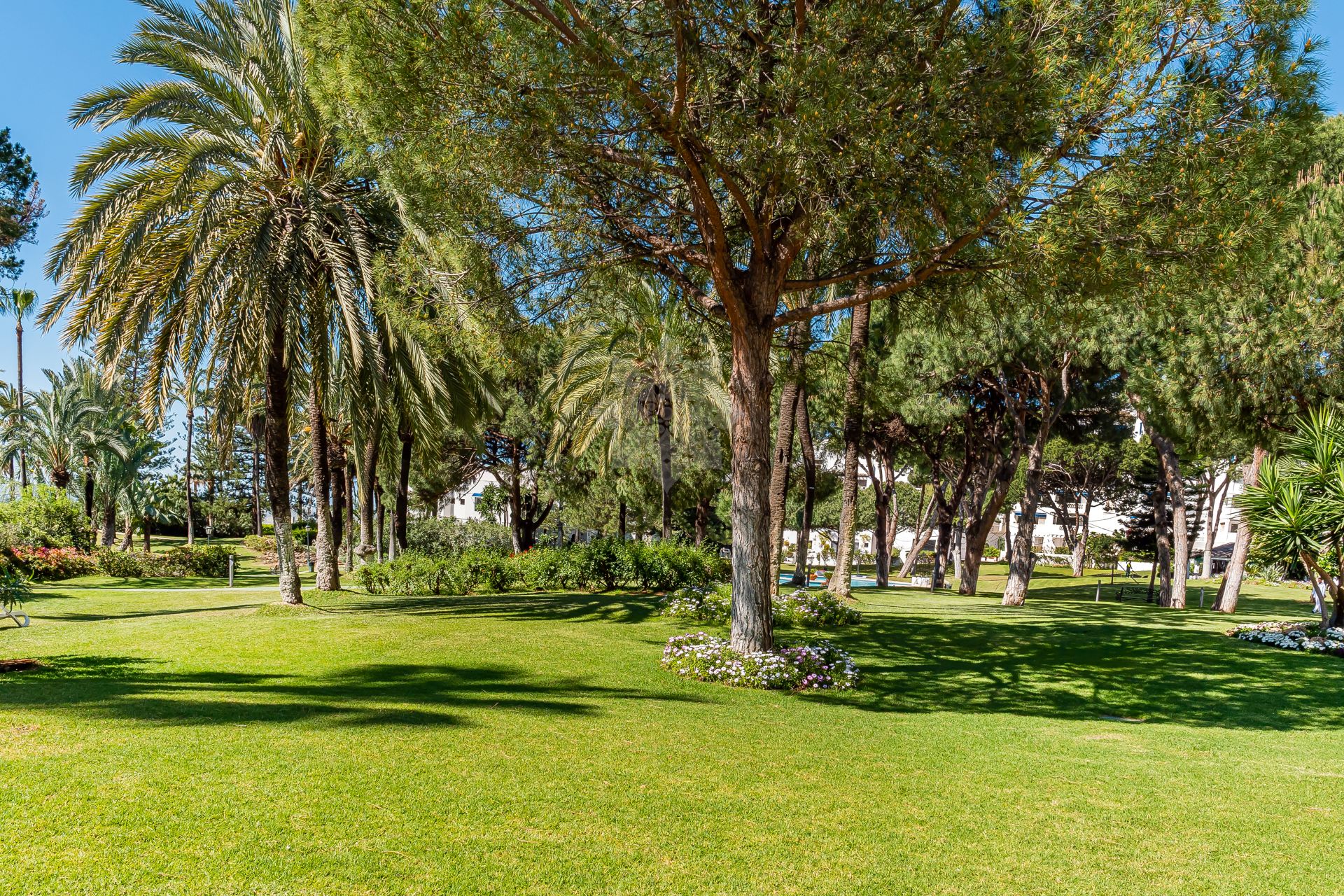 Apartament w Playas del Duque, Marbella