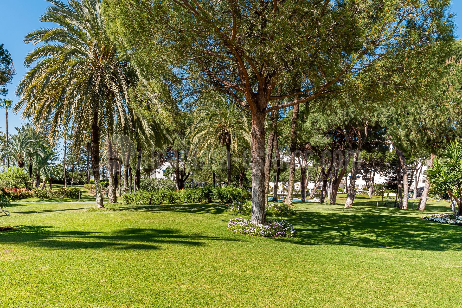 Apartment in Playas del Duque, Marbella