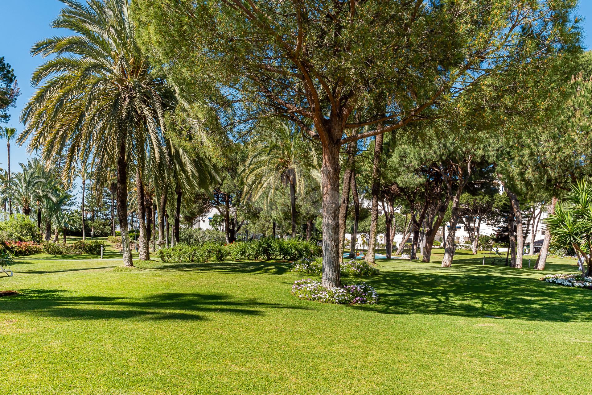 Apartamento en Playas del Duque, Marbella