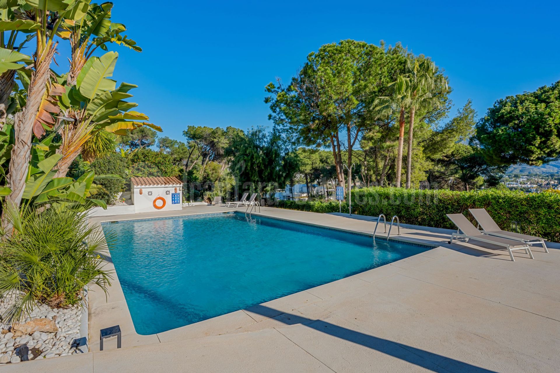 Duplex en Nueva Andalucia, Marbella