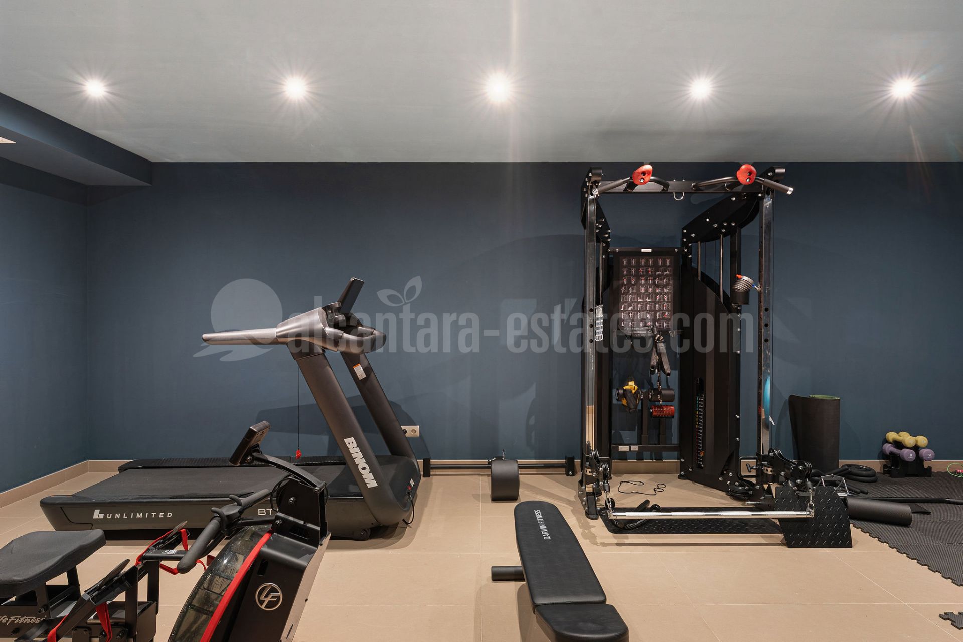 Villa in San Pedro Playa, San Pedro de Alcantara