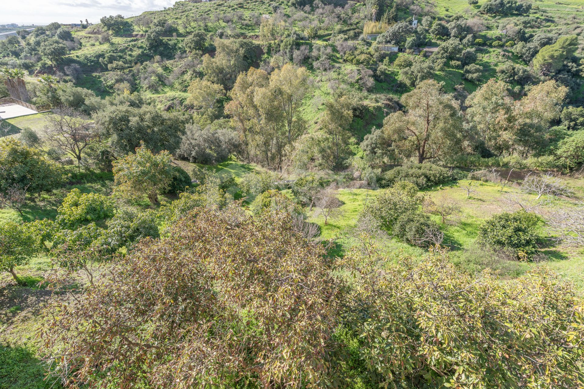 Sea-View Villa with Large Plots & Endless Potential – La Pantoja, Estepona Hills