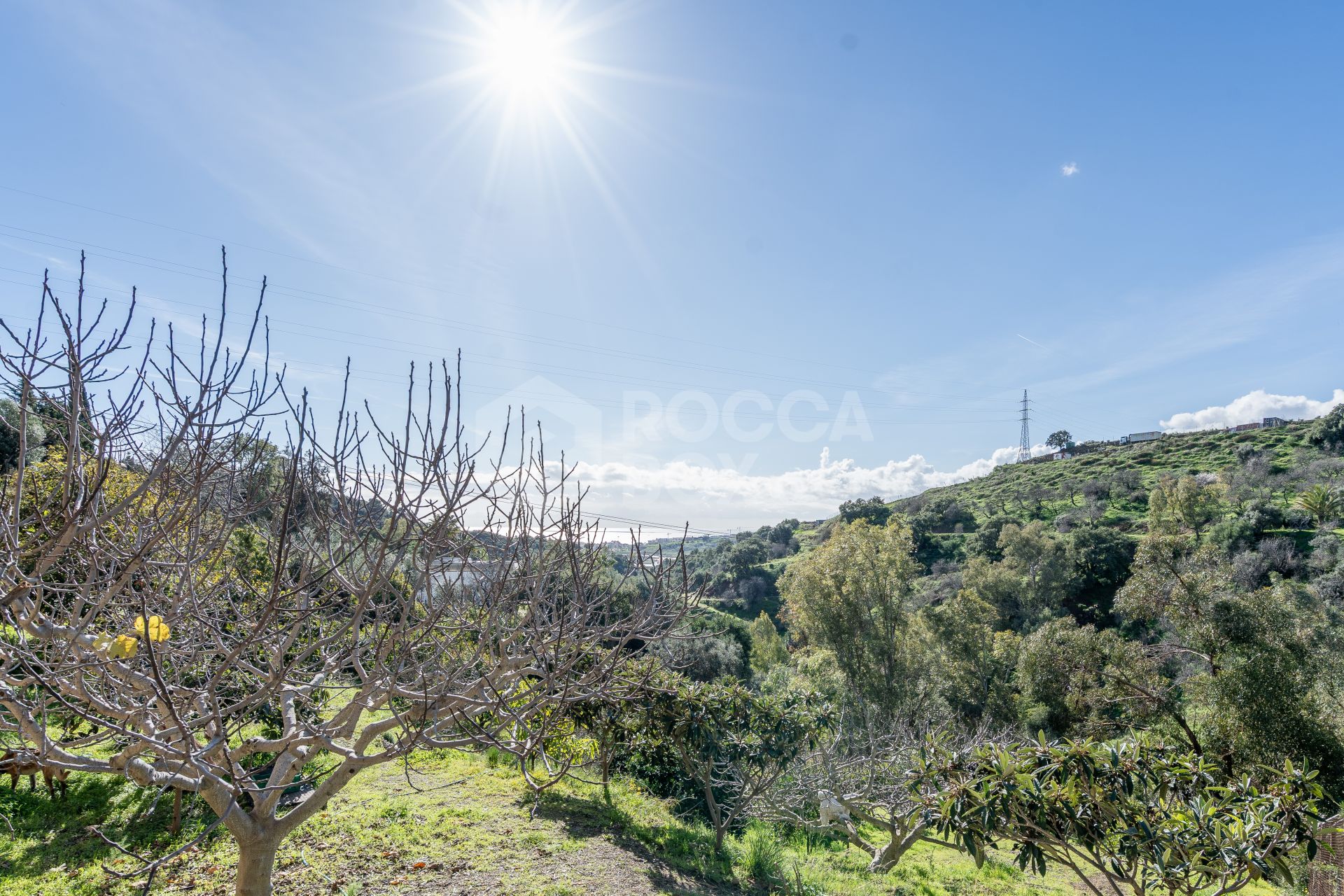 Sea-View Villa with Large Plots & Endless Potential – La Pantoja, Estepona Hills