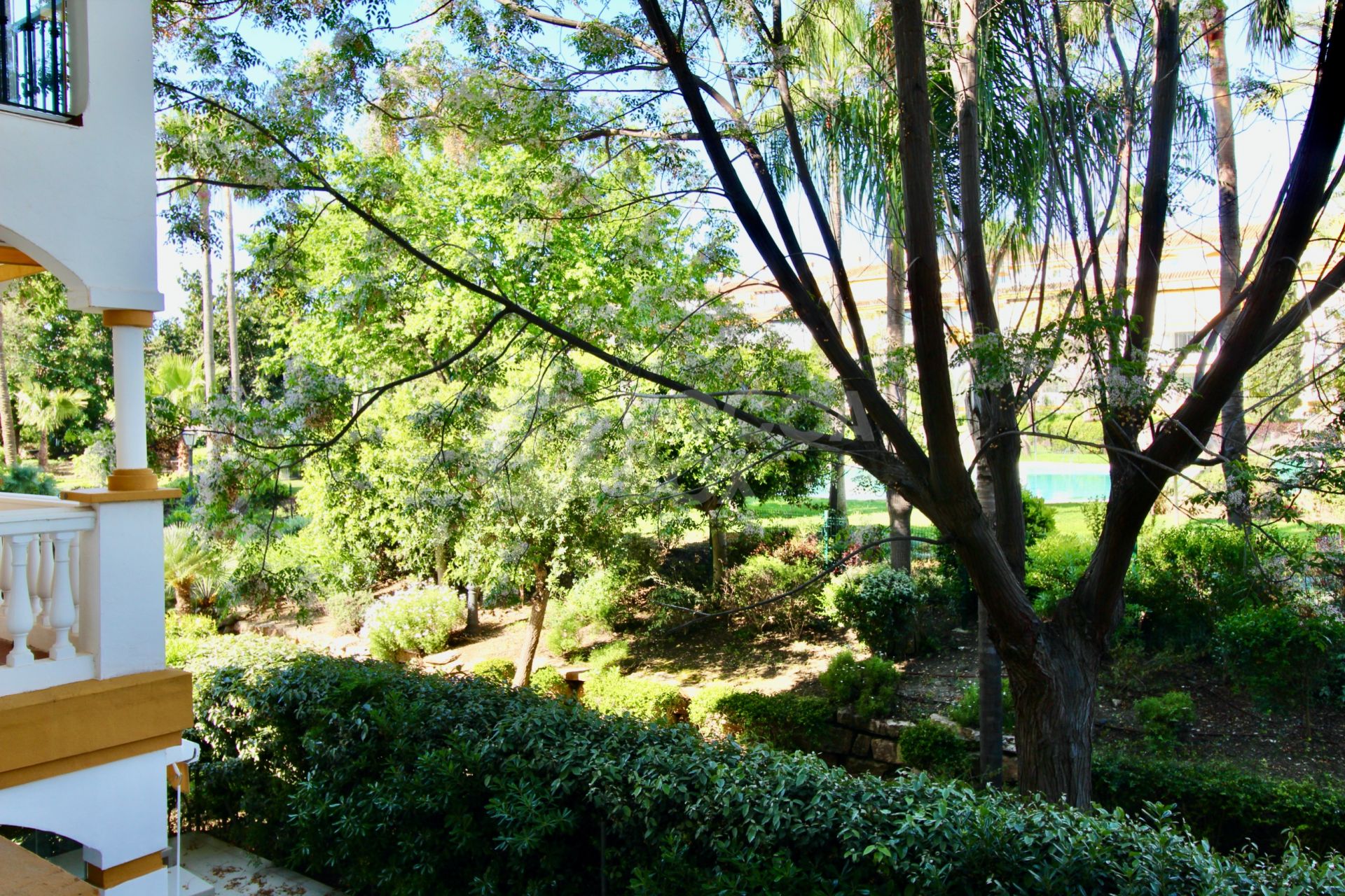 3-Bedroom Corner Apartment for Sale and Long-Term Rent in Nueva Andalucía, Marbella