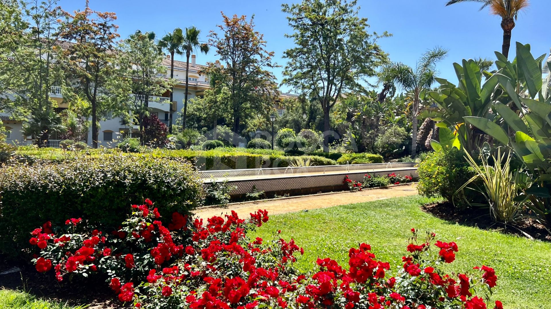 3-Bedroom Corner Apartment for Sale and Long-Term Rent in Nueva Andalucía, Marbella