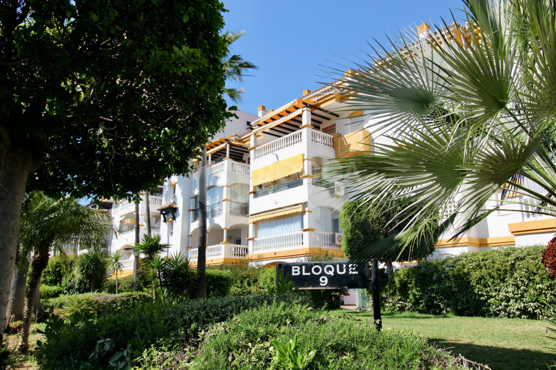 3-Bedroom Corner Apartment for Sale and Long-Term Rent in Nueva Andalucía, Marbella