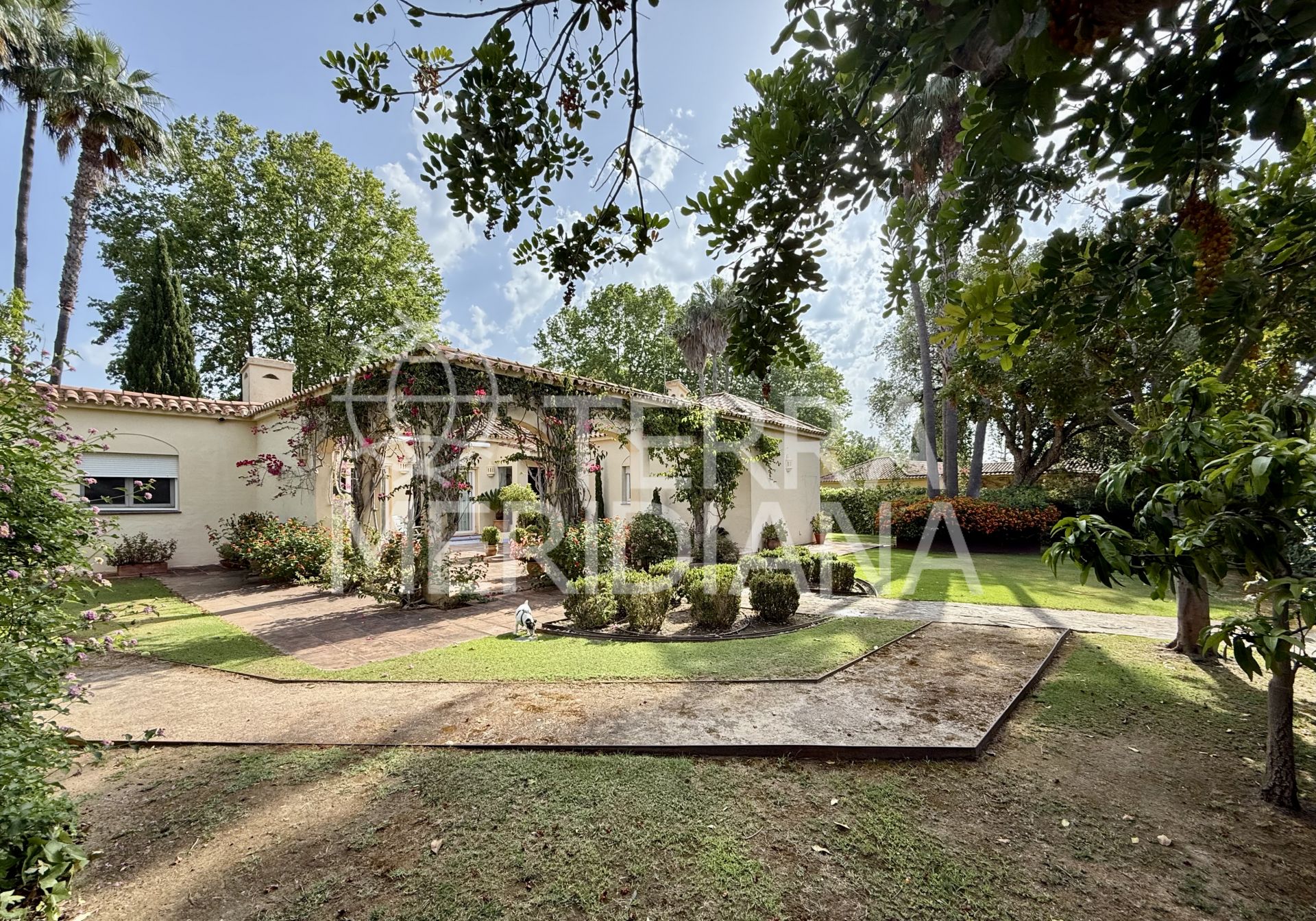 Villa in Sotogrande Alto, Sotogrande