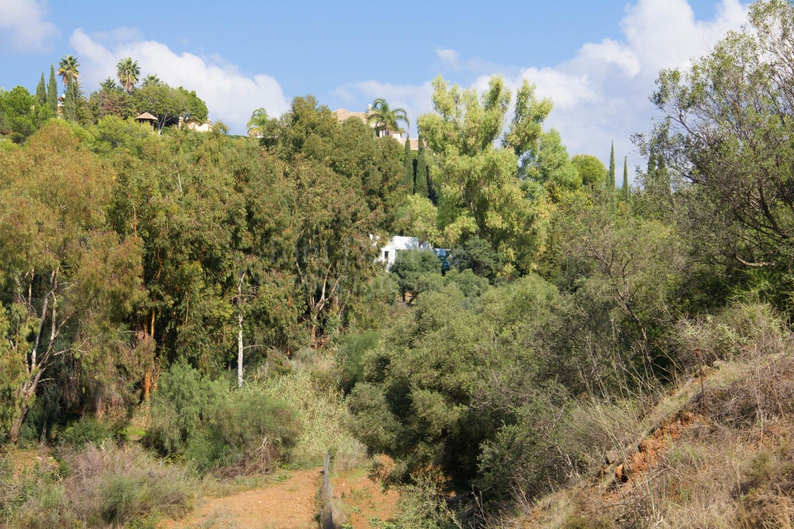 Plot in Puerto del Almendro, Benahavis