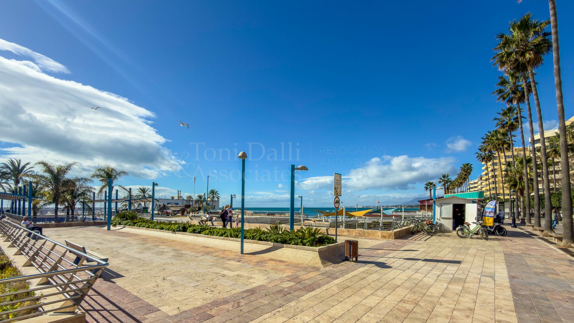 Commercial Premises in Marbella Centro, Marbella