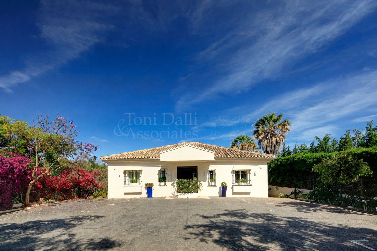 Office in Nueva Andalucia, Marbella
