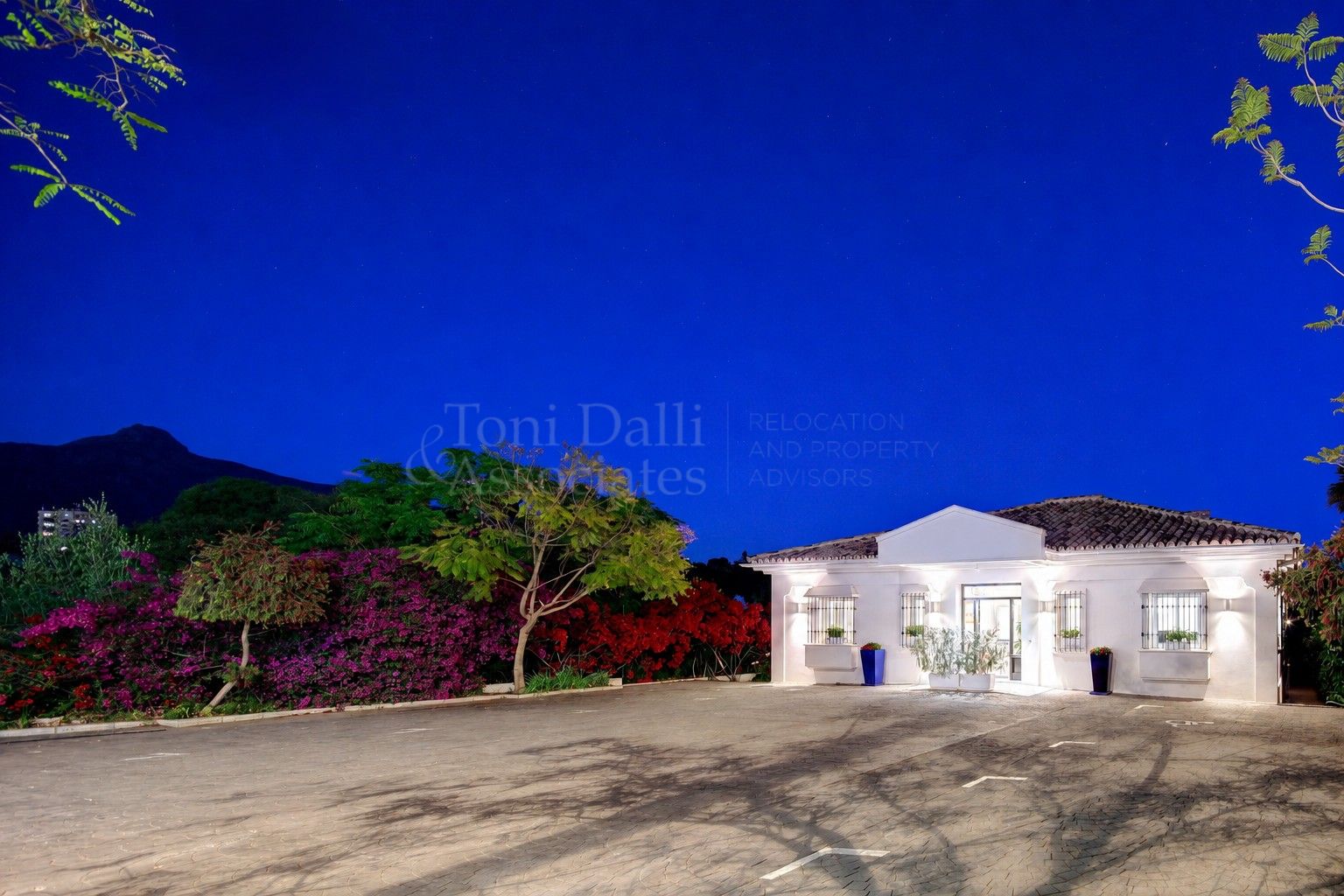 Office in Nueva Andalucia, Marbella