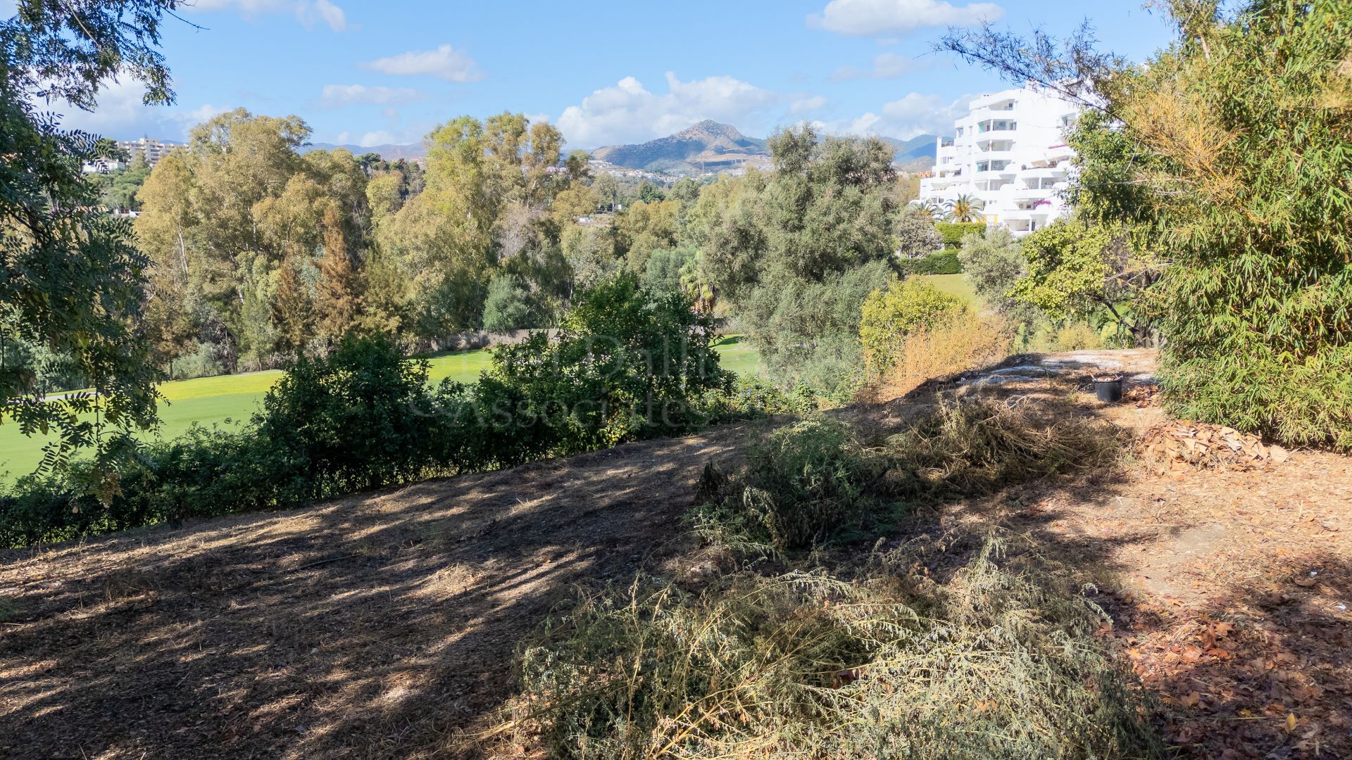 Plot in Guadalmina Alta, San Pedro de Alcantara