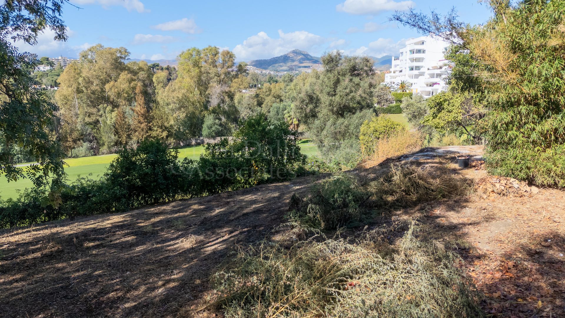Plot in Guadalmina Alta, San Pedro de Alcantara