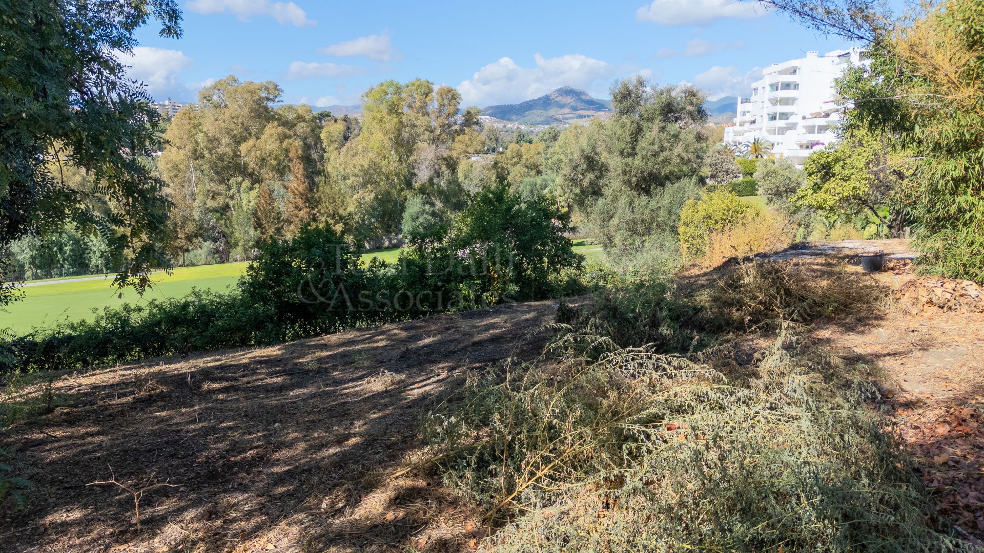 Plot in Guadalmina Alta, San Pedro de Alcantara