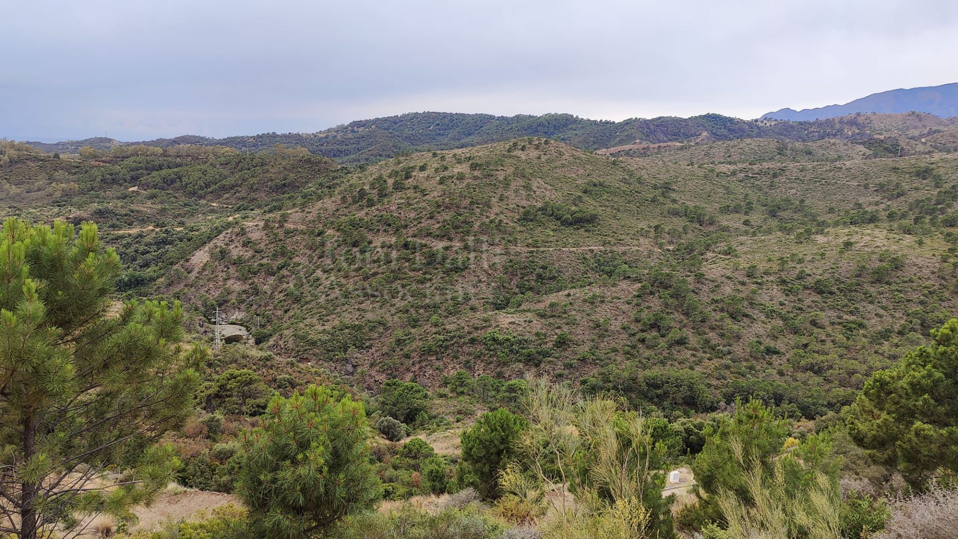 Plot in Monte Mayor, Benahavis