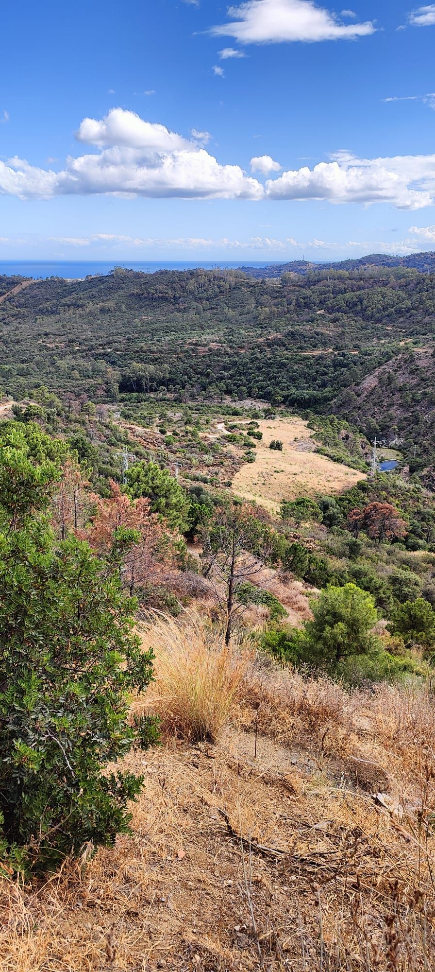Plot in Monte Mayor, Benahavis
