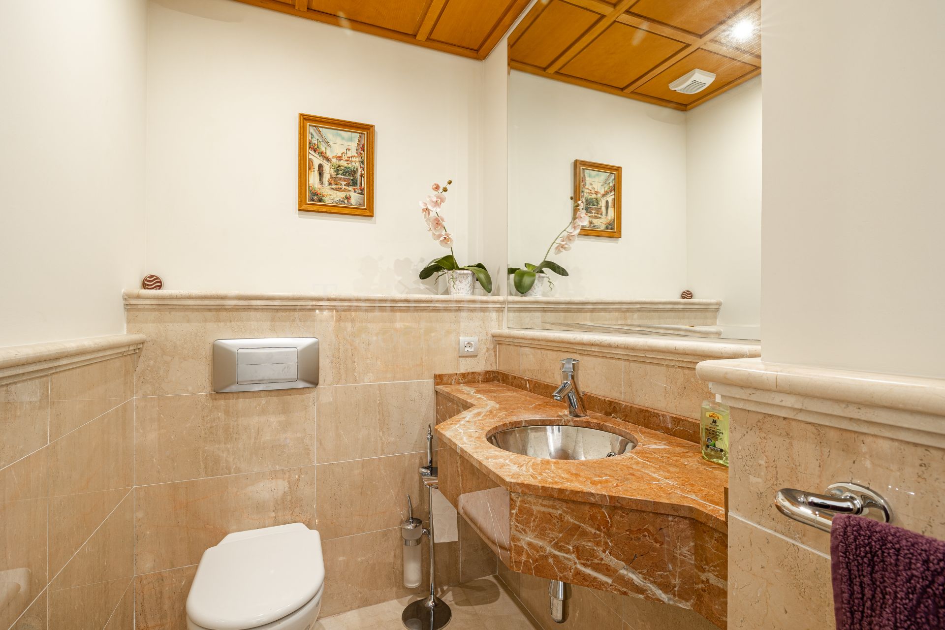 Apartment in La Trinidad, Marbella