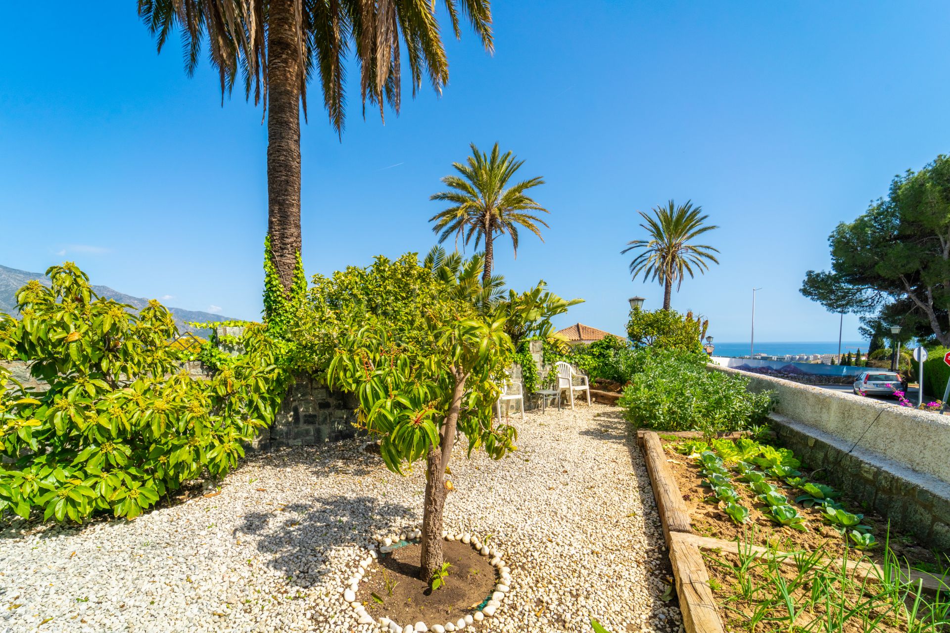 Villa in Nueva Andalucia, Marbella