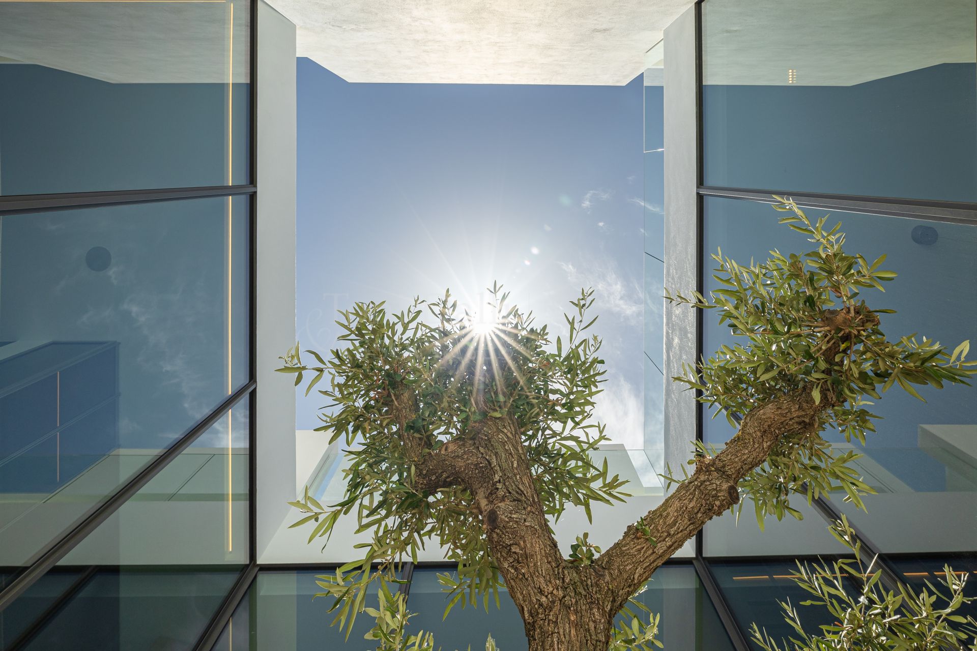 Villa in Vilas 12, Marbella