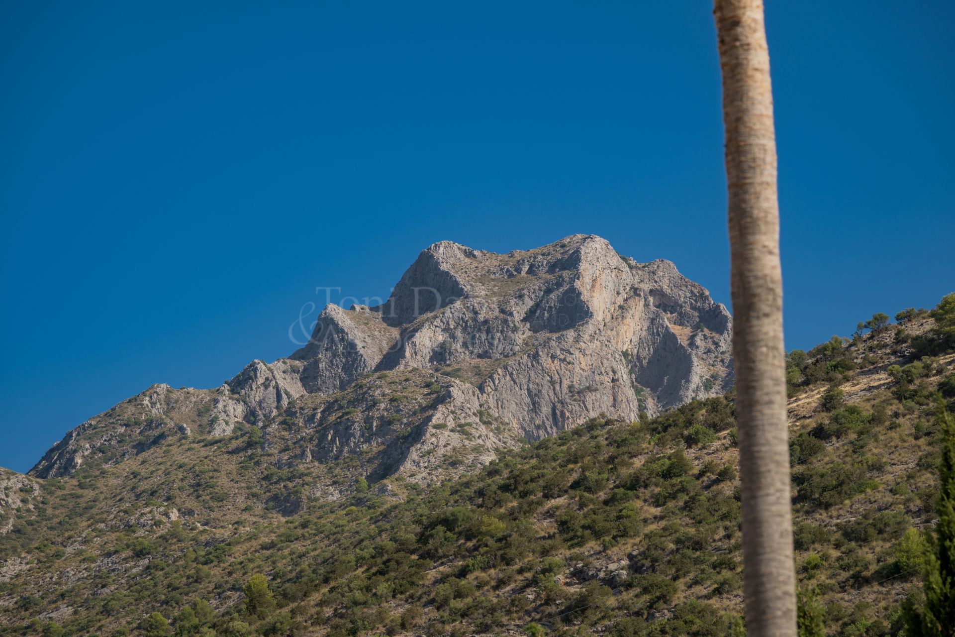 Villa in Sierra Blanca, Marbella